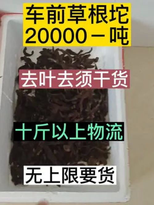 商贸龙哥 中草药全品类收购，量大从优，私信询价