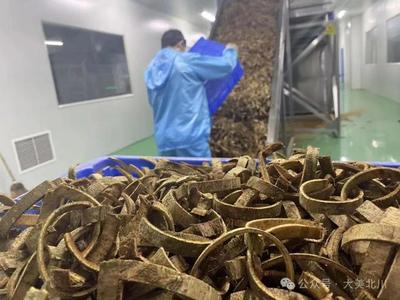 北川“暖企”行动 倾听企业心声 为中草药收购纾困解难