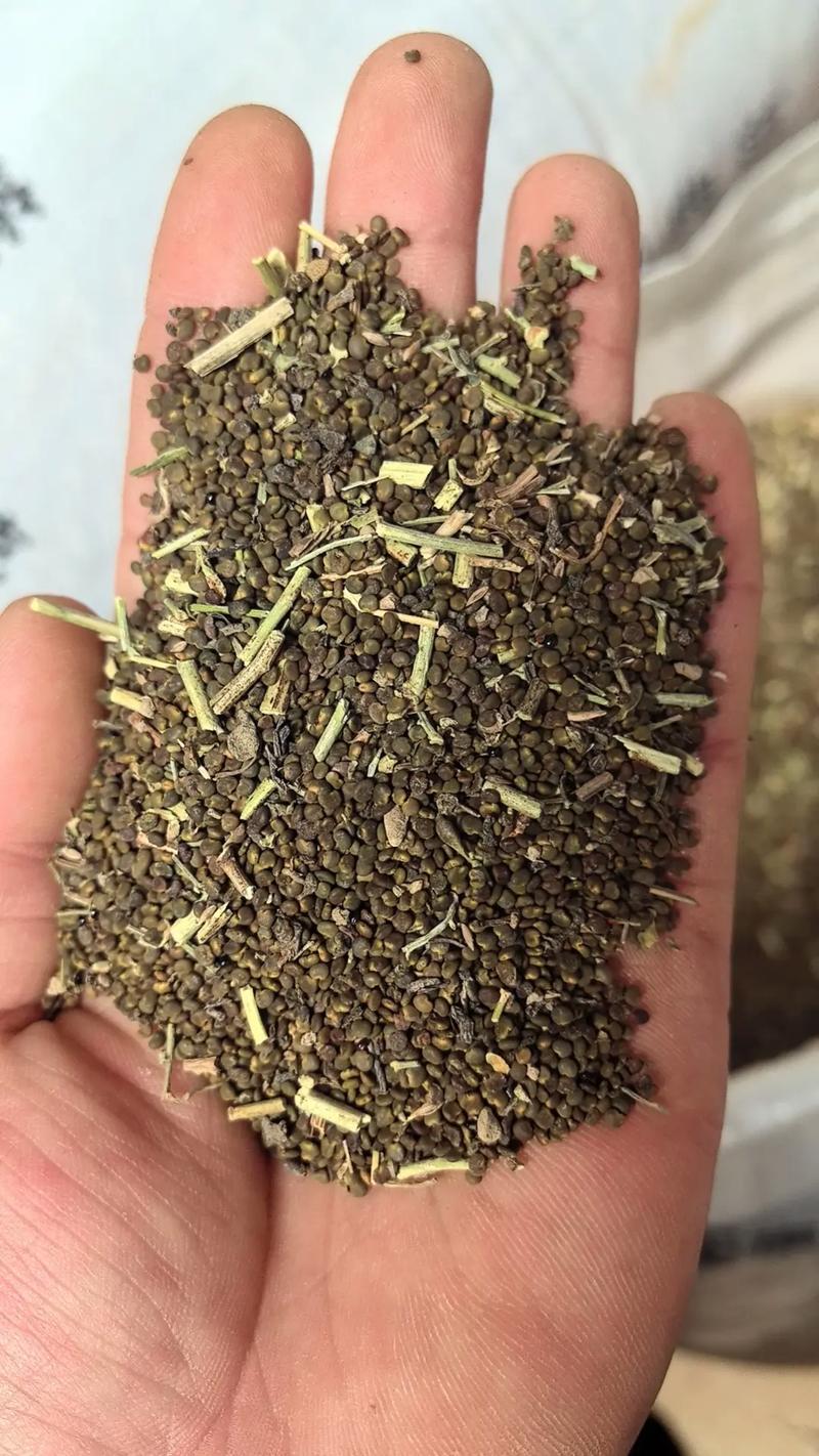 专业收购沙苑子及其他道地中药材