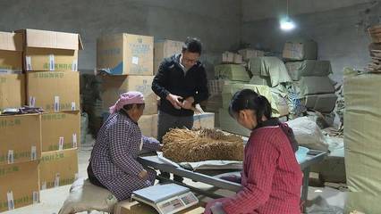代表委员风采 | 郝爱国 扎根乡土 以中草药铺就共富路