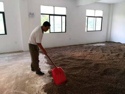 新时代中国共产党人的“时空坐标” 以中医药振兴助力健康中国建设