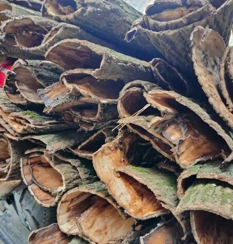 杜仲皮 传统中药材的现代价值与市场前景